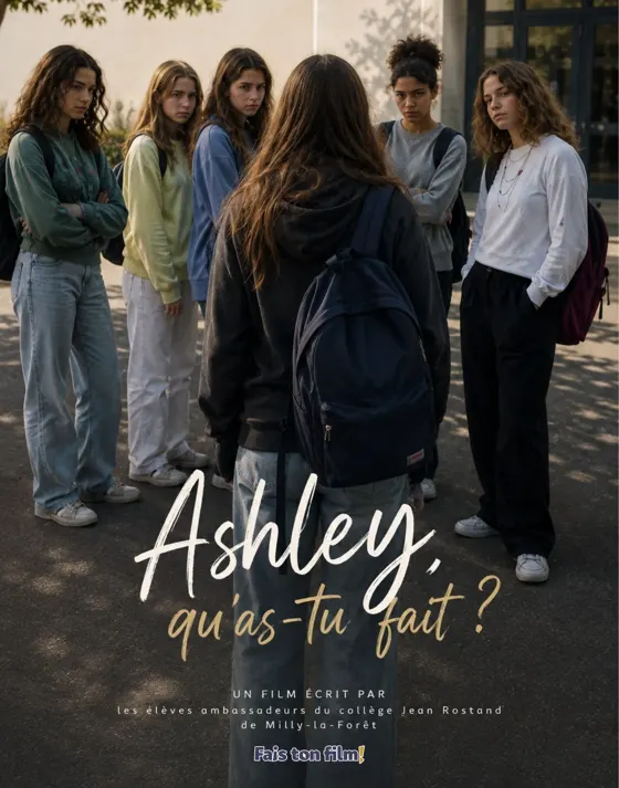 Affiche du film Ashley, qu'as-tu fait ?